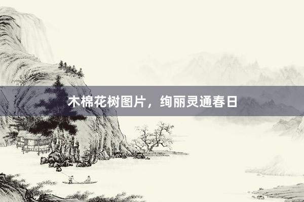 木棉花树图片，绚丽灵通春日